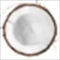 Coconut